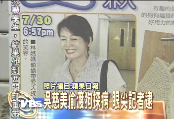 林志玲摔馬住院 愛狗偷渡探病