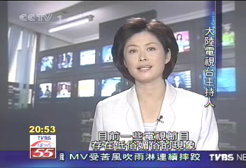 〈獨家〉大陸檢討電視低俗化 NONO成教材