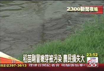 〈獨家〉紙廠重油外洩！污染百甲農田