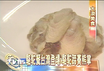 駱駝餐台灣登場 駱駝蹄賽熊掌