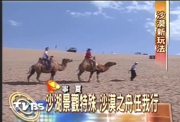 【塞上江南】沙湖景觀特殊 沙漠之舟任我行