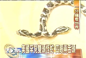 美西罕見雙頭蛇 民眾爭先睹風采