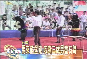 馬來熊逞兇 咬斷3歲男童右臂