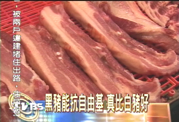 黑豬能抗自由基 真比白豬好