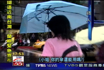 台北吹八級強風 傘花朵朵開