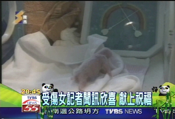 咬人貓熊喜妹 生下雙胞胎
