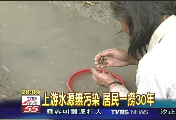 意外收穫！　板新水廠旁「摸蜆仔」