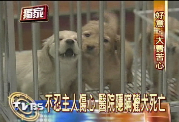 疏忽悶死狗　獸醫院竟買新狗頂替