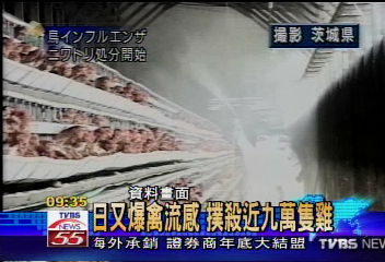 日又爆禽流感 撲殺近9萬隻雞