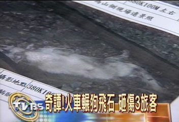 奇譚！　火車輾狗飛石　砸傷3旅客
