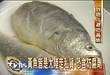 漁業署：別吃黃魚　餐館：沒道理