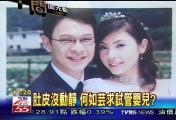 肚皮沒動靜 何如芸求試管嬰兒?