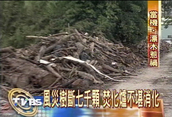 風災樹斷7千顆 焚化爐不堪消化