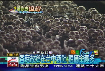 宮廷民宿坐落台中新社　歐風典雅