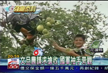 文旦農請求搶收 國軍袖手旁觀