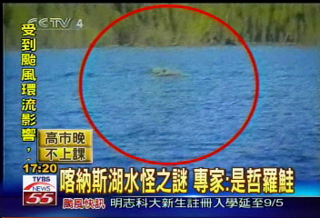 喀納斯湖水怪之謎 專家:是哲羅鮭