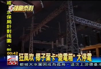 屏東4萬戶停電　椰子葉惹禍