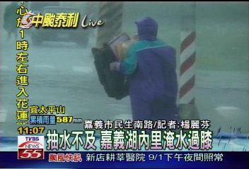 強風豪雨　嘉義溪水暴漲　路樹倒塌