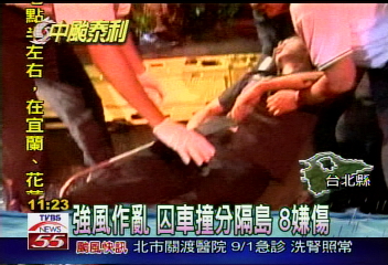 強風作亂 囚車撞分隔島 8嫌傷