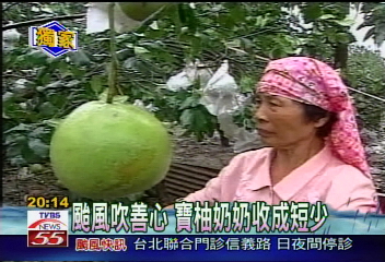 〈獨家〉颱風吹善心 寶柚奶奶收成短少