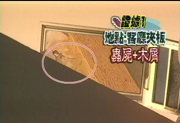 〈獨家〉豪宅有蟲 建商坦承建材出問題