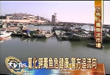 夭壽！雲林毒魚　宅配流入魚市