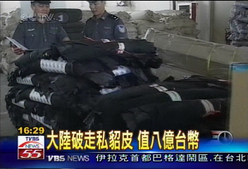 大陸破走私貂皮 值8億台幣