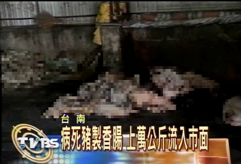 病死豬製香腸 上萬公斤流入市面