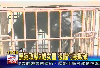 黑狗攻擊2歲女童　後腦勺被咬破
