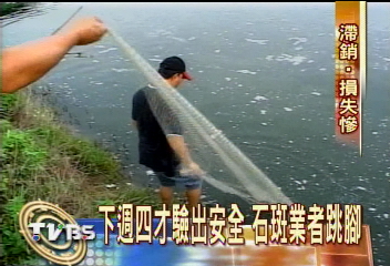 下週四才驗出安全 石斑業者跳腳