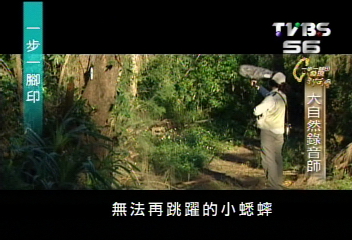 【一步一腳印】大自然的錄音師 用聲音紀錄生態