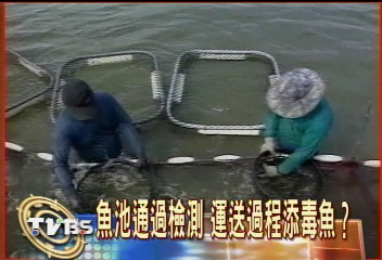 魚池通過檢測　運送過程添毒魚？