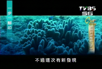【一步一腳印】捕魚管制　環礁珊瑚美麗再現
