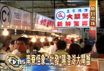 南寮怪象　「批發」陽澄湖大閘蟹
