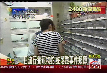 迷路寵物蛇四處晃 嚇壞日本民眾