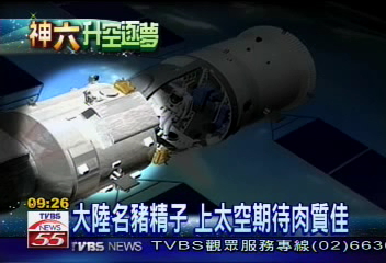 大陸名豬精子　上太空期待肉質佳