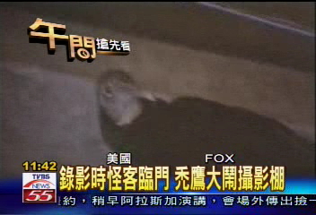錄影時怪客臨門 禿鷹大鬧攝影棚