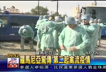 羅馬尼亞驚傳　第二起禽流疫情