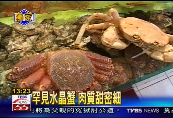 〈獨家〉水晶蟹!白色的 阿拉斯加深海引進