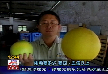 帝王柚大如籃球 重達14台斤