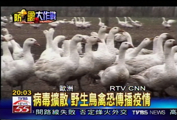 亞洲禽流疫情蔓延 父子相繼感染