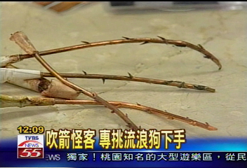 吹箭怪客　專挑流浪狗下手