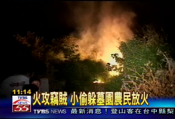 火攻竊賊　小偷躲墓園農民放火
