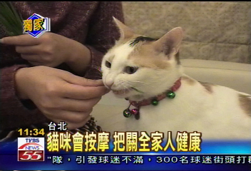 〈獨家〉貓咪會按摩 把關全家人健康