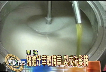 豬膽汁粹取精華　製成洗髮精