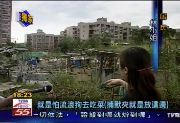 〈獨家〉護菜設阱狗遭殃　流浪狗受困扯斷腿