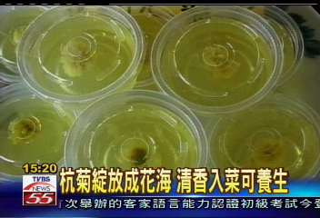 杭菊綻放成花海 清香入菜可養生