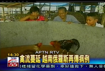 防堵禽流擴散 世衛會議緊急因應
