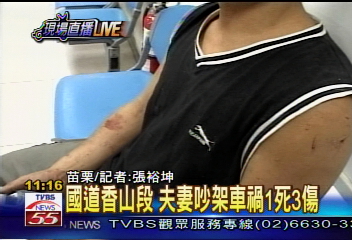 老夫妻打架拉方向盤　翻車女婿亡