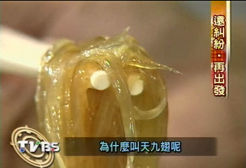 新同樂重新開張　天九翅一客3萬